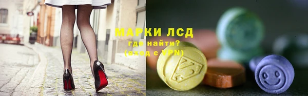 амф Бородино