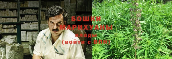 амф Бородино