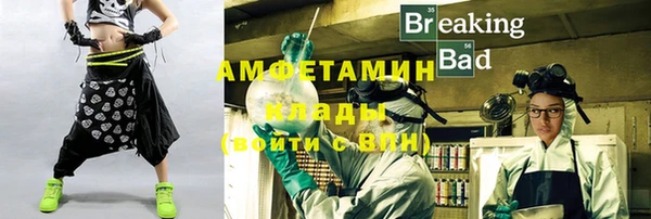 амф Бородино