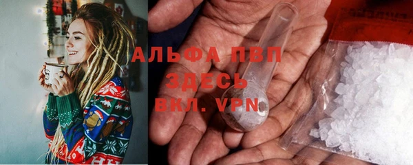 амф Бородино